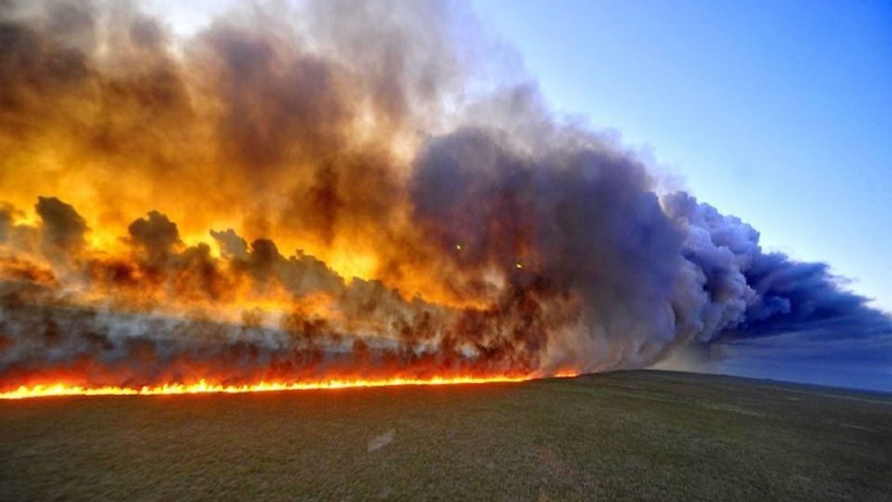 «Soy Nerón incendiando el Amazonas», así se burló Bolsonaro de la tragedia ecológica mundial