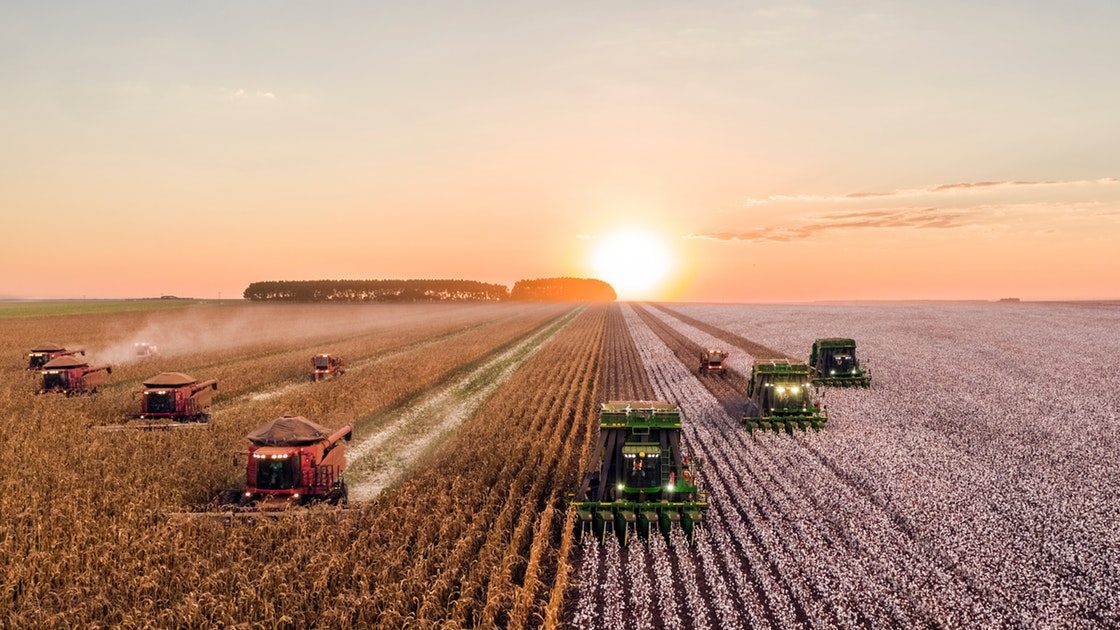 Es urgente cambiar el uso de la tierra y la producción de alimentos para evitar un desastre climático mayor