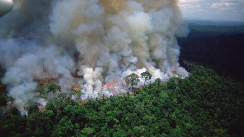 Más de 74 mil incendios se han producido en la Amazonia brasileña en el presente año