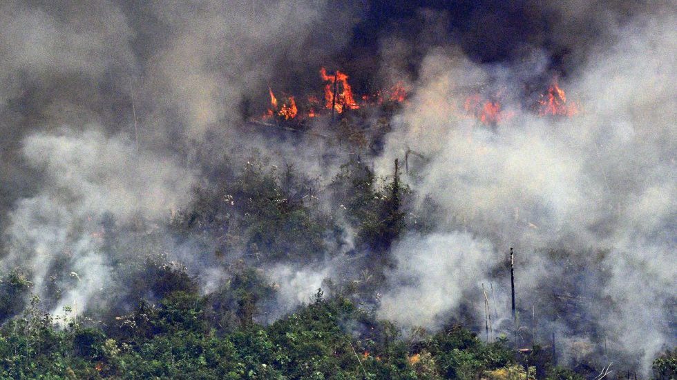 Incendio en el Amazonas: El fuego se extiende a Perú, Bolivia, Argentina y Paraguay