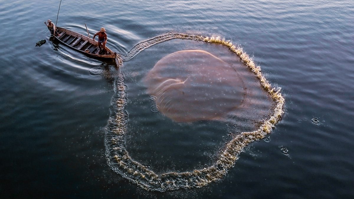 Pesca sustentable: en México se usará tecnología espacial europea para promover producción responsable