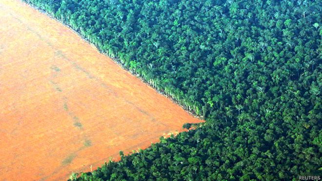 Destrucción del amazonía se acelera durante el gobierno de Bolsonaro