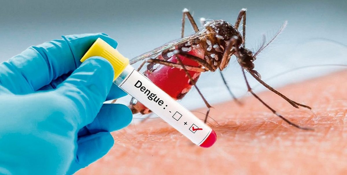 ¡Alerta! OMS advierte que la transmisión del dengue en Sudamérica y Centroamérica es «intensa»