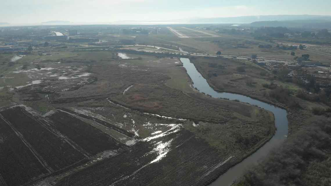 Concepción: Denuncian que proyecto inmobiliario destruirá un humedal en Hualpén
