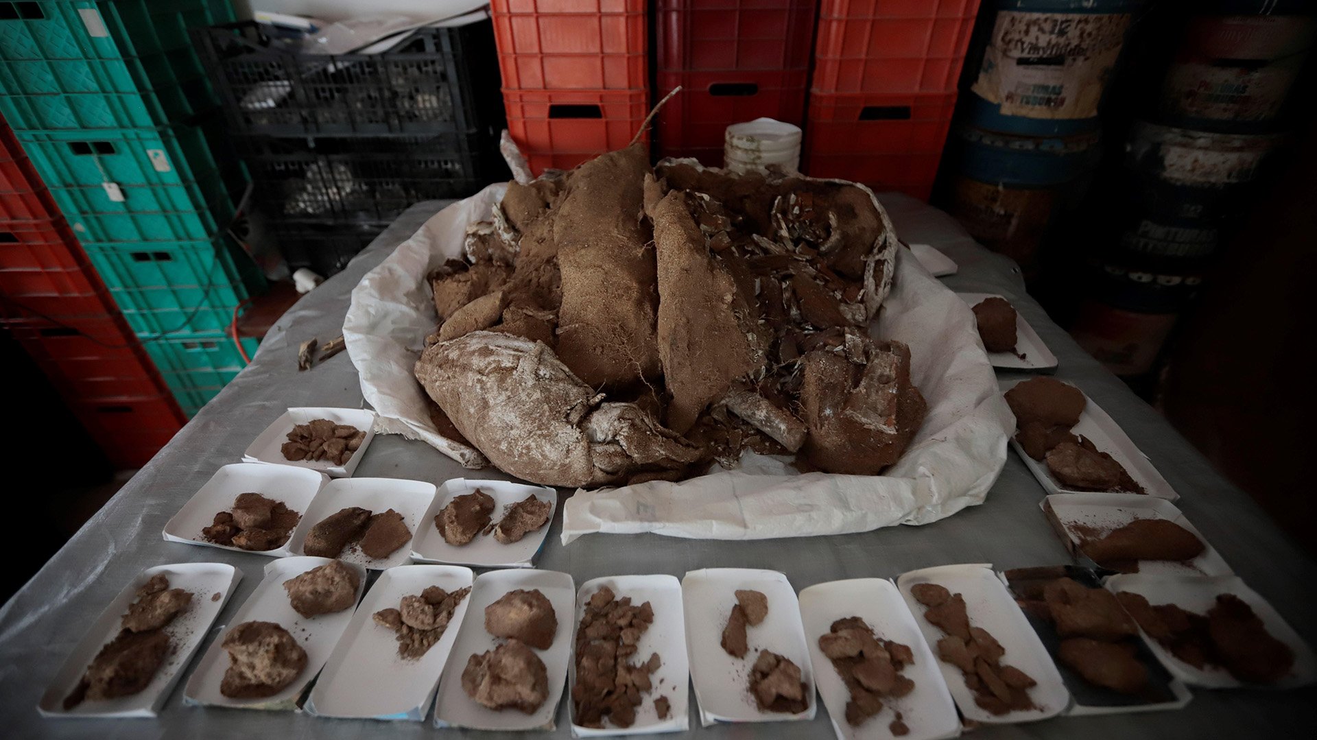 Descubren fósiles de mamut de 13.000 años en Jalisco, México