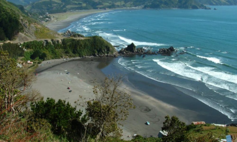 Defensa del Mar de Mehuin: “Durante 23 años celulosa Arauco se las ha arreglado sin necesidad del ducto, y lo pueden seguir haciendo”