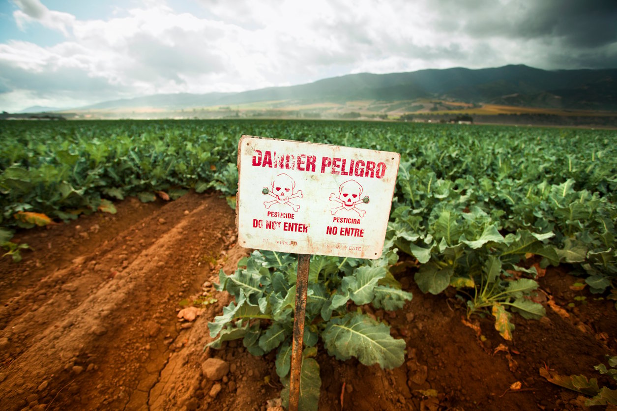 ¡Récord en pesticidas! Bolsonaro está inundando de veneno a Brasil