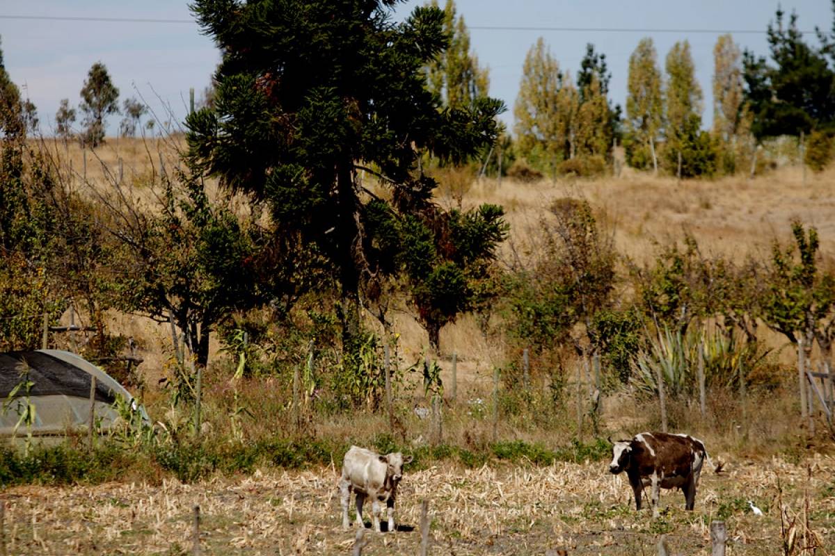 Especialistas advierten que Chile vive el segundo invierno más seco desde 1911