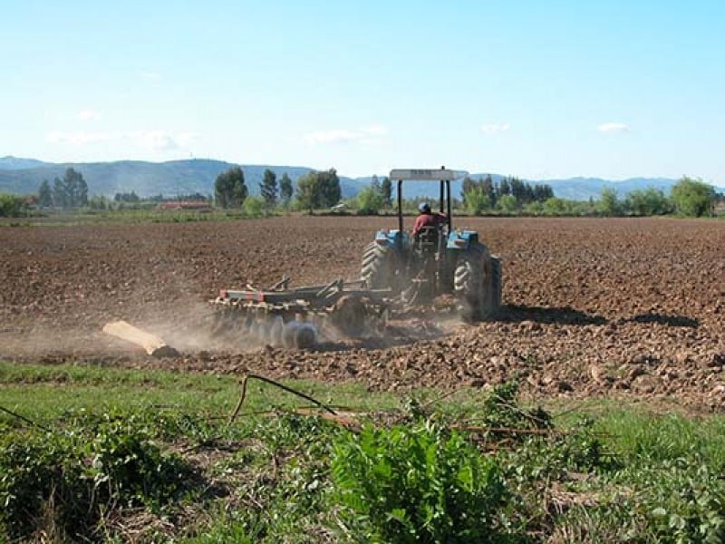 Autoridades y agricultores del Maule piden al Gobierno declarar emergencia agrícola en la Región