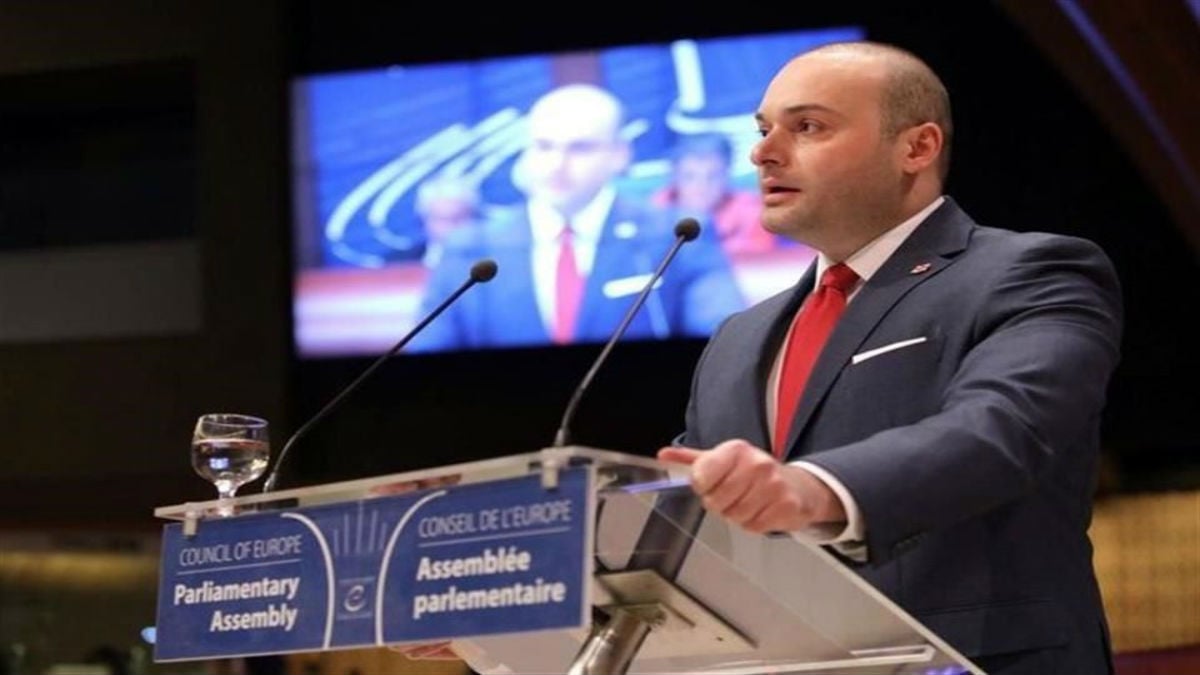 El partido oficialista de Georgia propone a ministro del Interior como jefe del Gobierno