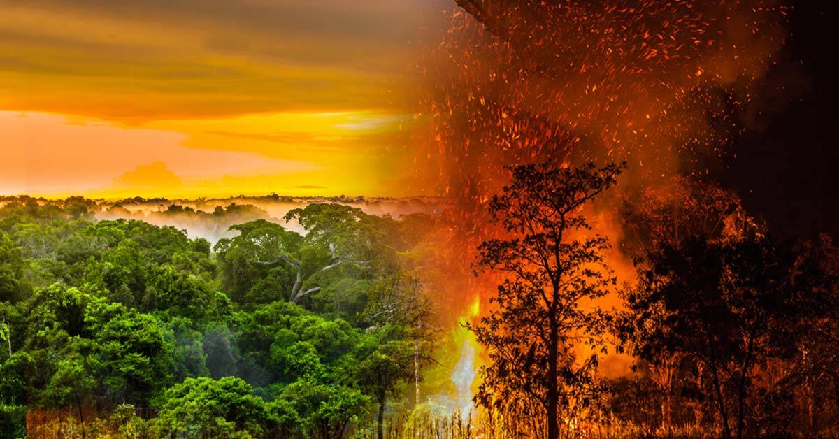 Gobierno de Brasil prohíbe uso del fuego en la selva amazónica por cuatro meses