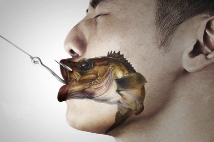 ¿Los peces sienten dolor como los mamíferos? Un estudio tiene la respuesta