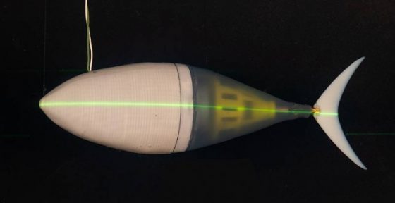 Crean un “robot-atún” capaz de nadar más rápido que los peces reales