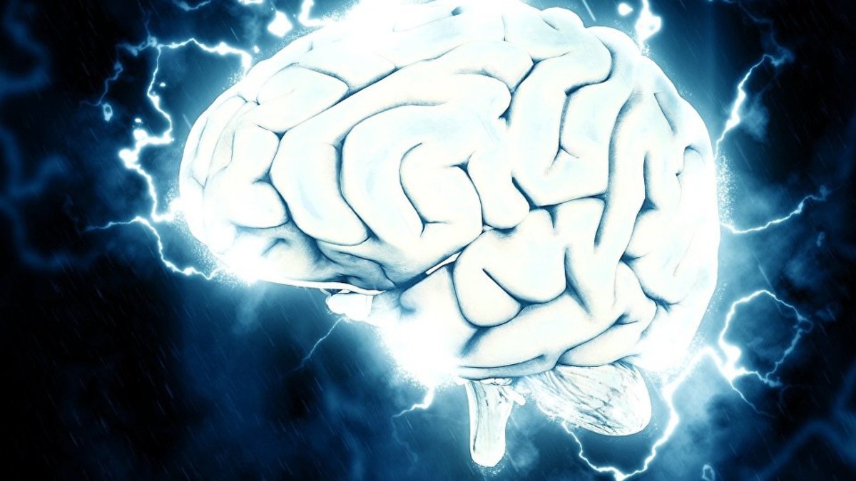 Científicos crean cerebro en laboratorio con redes neuronales funcionales