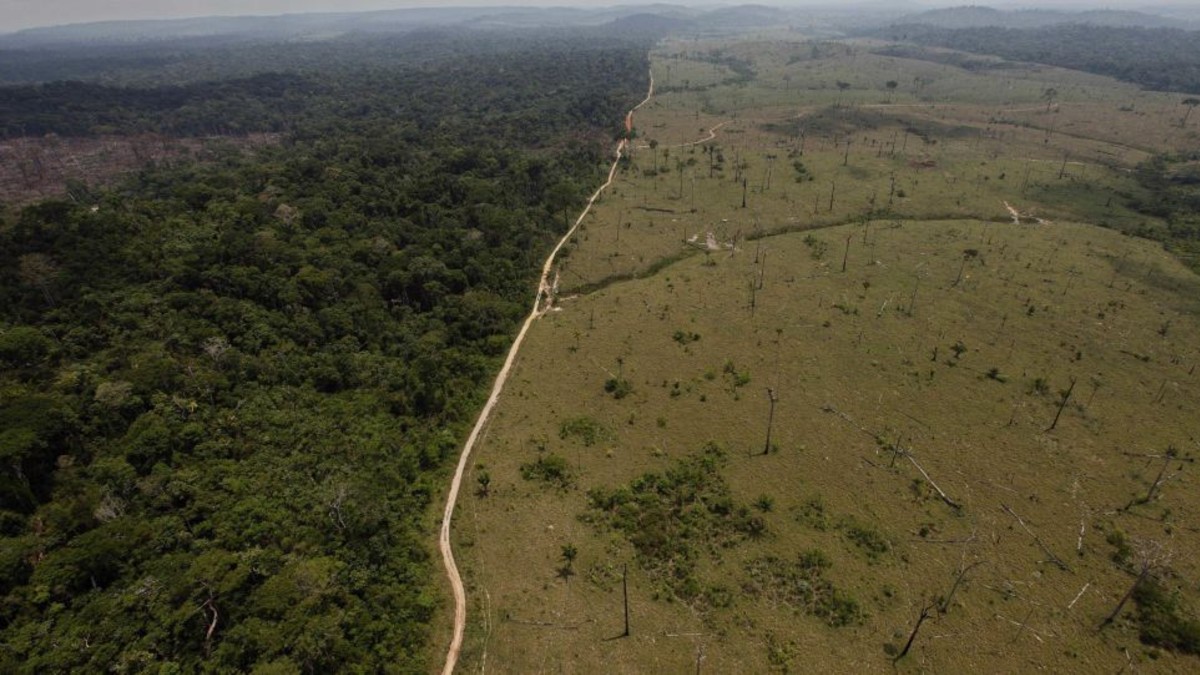 ‘Pacto de Leticia’ así se llama la iniciativa creada en la ONU para salvar la Amazonía