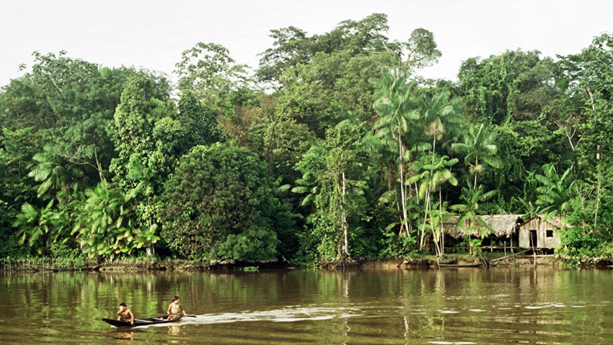 Gobierno de Brasil no logra garantizar protección de activistas ambientales