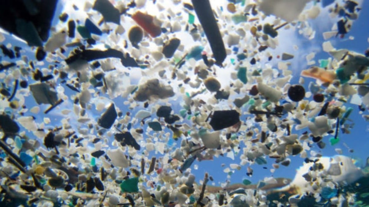 (Fotos) Museo suizo crea exposición que muestra la monumental cantidad de plástico que dejamos en los océanos