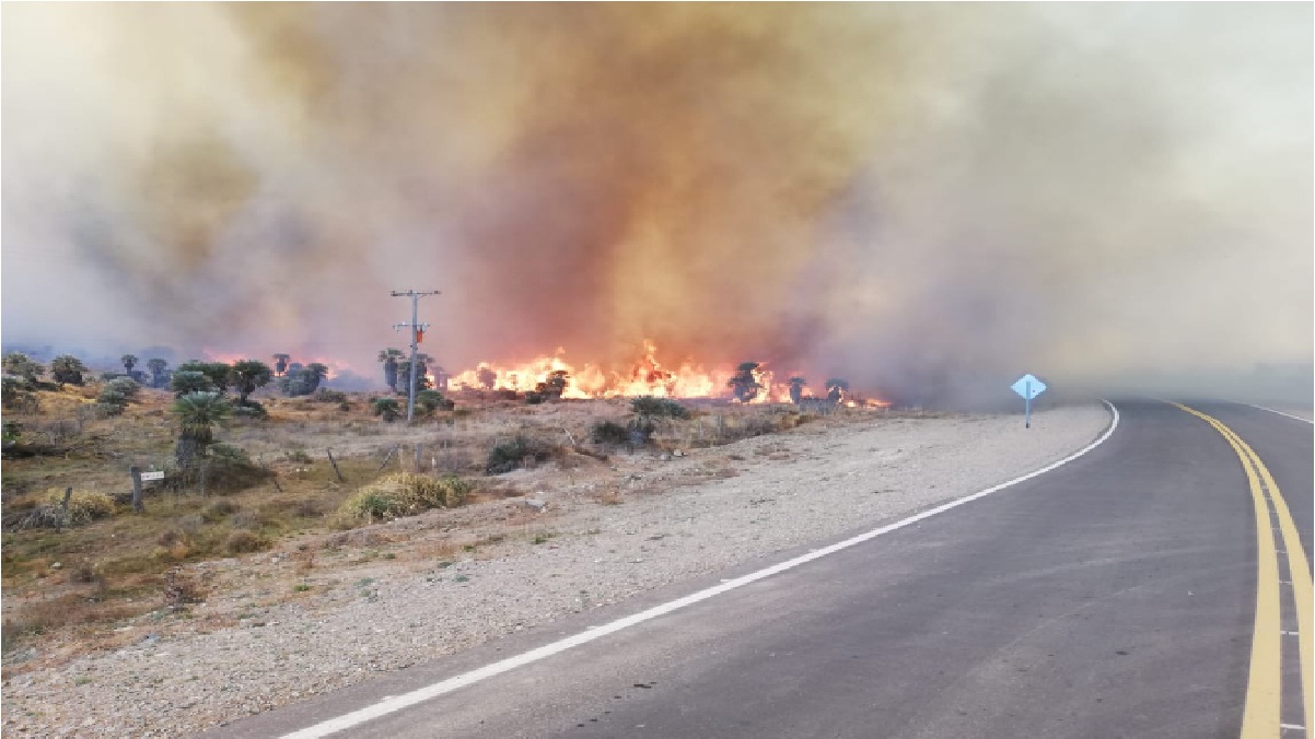 (Vídeo) Continúa el combate contra incendios forestales en Argentina