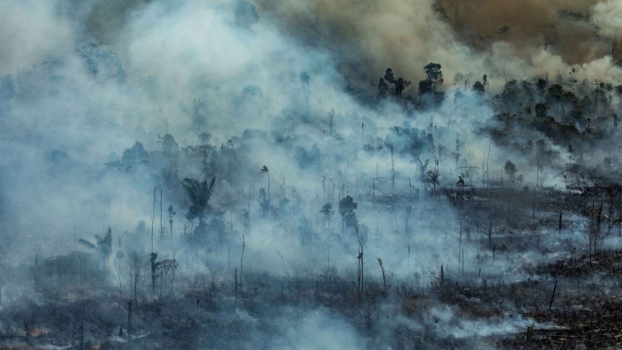 Greenpeace por incendios en Amazonía: «Es como si se hubiesen quemado 11 Parques Nacionales Torres del Paine»