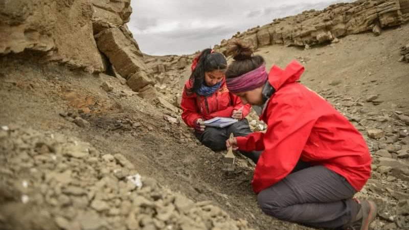Proyecto que protege el patrimonio paleontológico de Chile quedó listo para ser ley