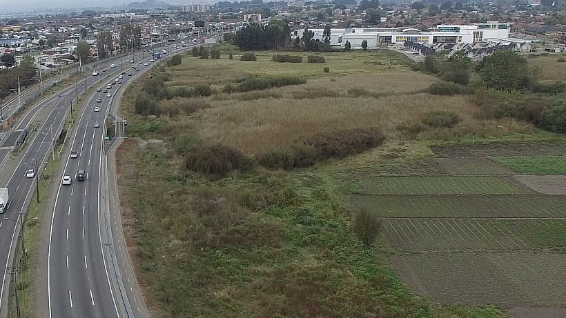 Biobío: Casi 15 mil personas votaron a favor de proteger humedal en San Pedro de la Paz