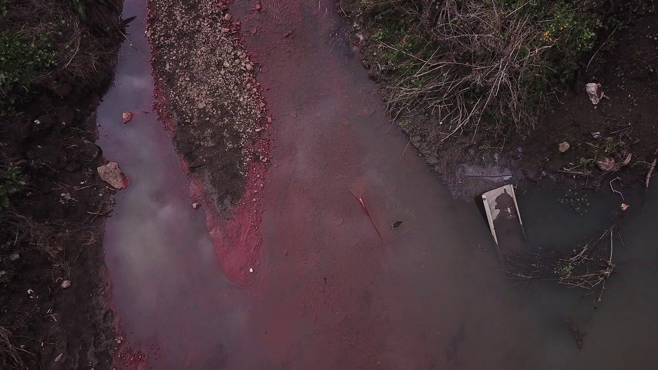 Humedal Paicaví quedó «teñido de rojo» por la contaminación tras accidente industrial