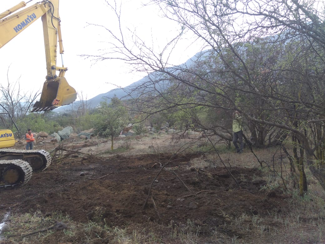 Proyecto inmobiliario comenzó a destruir bosque nativo cercano a la Quebrada de Macul