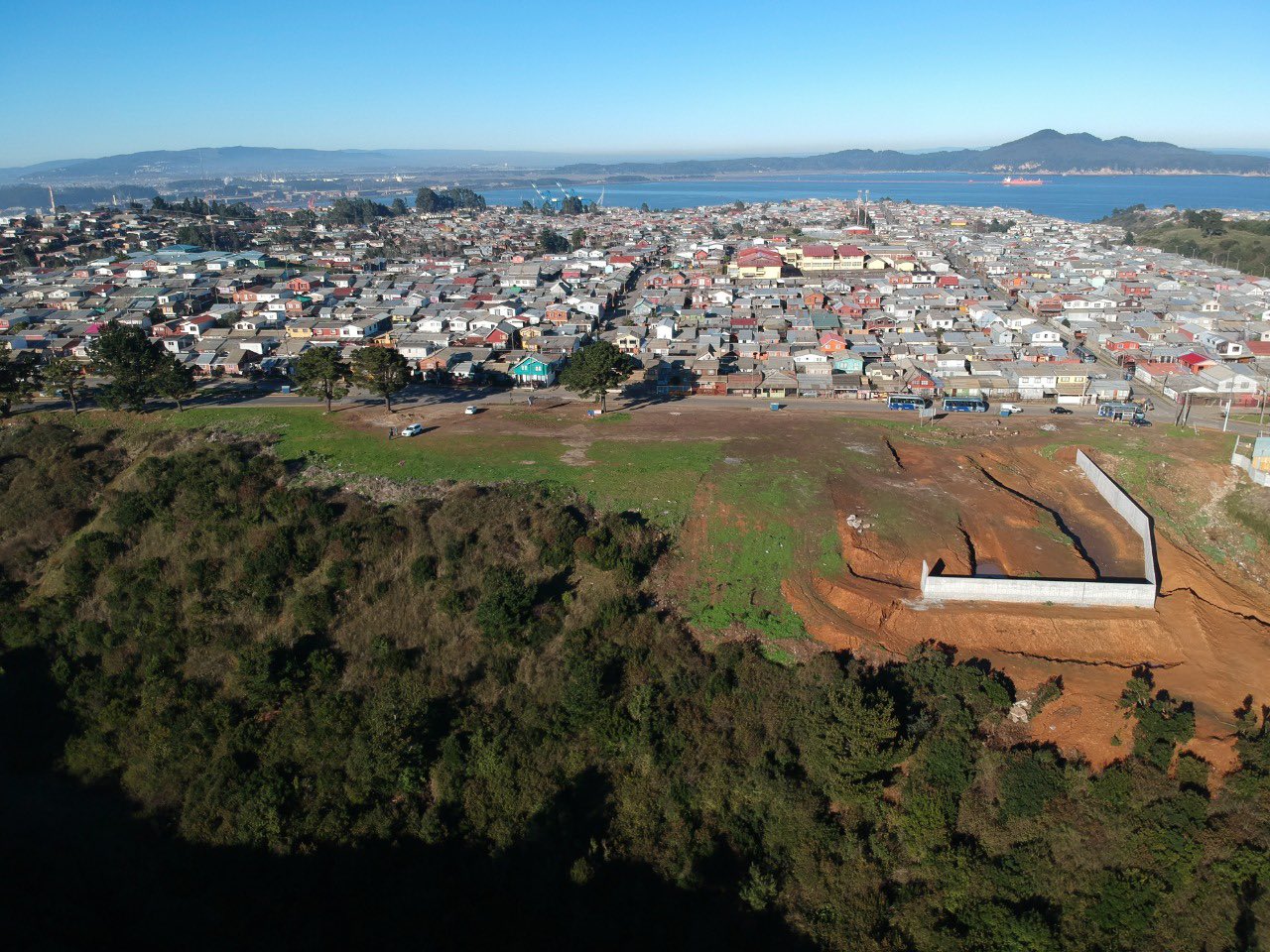 Talcahuano: ONG denuncia tala ilegal de árboles en zonas de protección de cerros