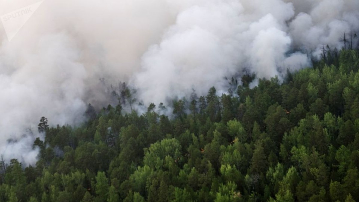 Unas 800 hectáreas quemadas en la provincia argentina de Córdoba
