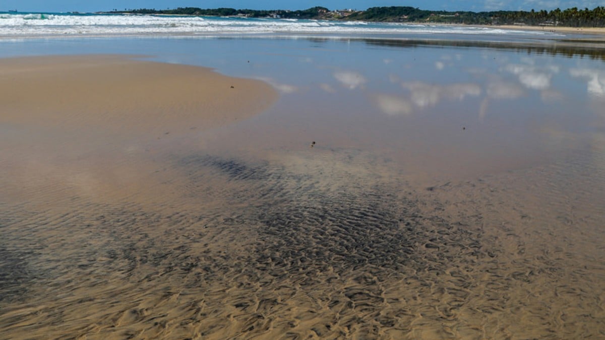 100 toneladas de petróleo recolectadas por organismos de control ambiental en playas de Brasil