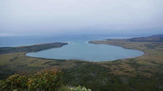 La Patagonia alberga una de las zonas con mayor absorción de CO2 de la región