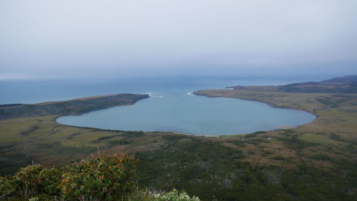 La Patagonia alberga una de las zonas con mayor absorción de CO2 de la región