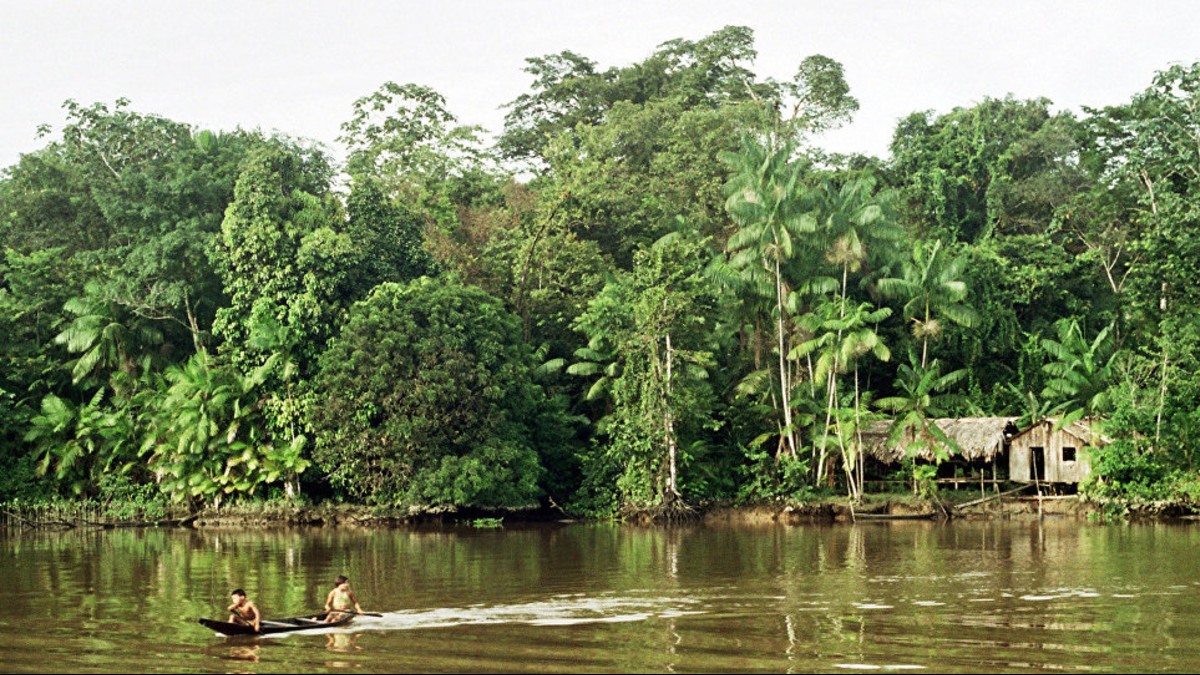 ¿Se acuerdan del Pacto de Leticia? Países con amazonía se congregan para elaborar un plan de conservación