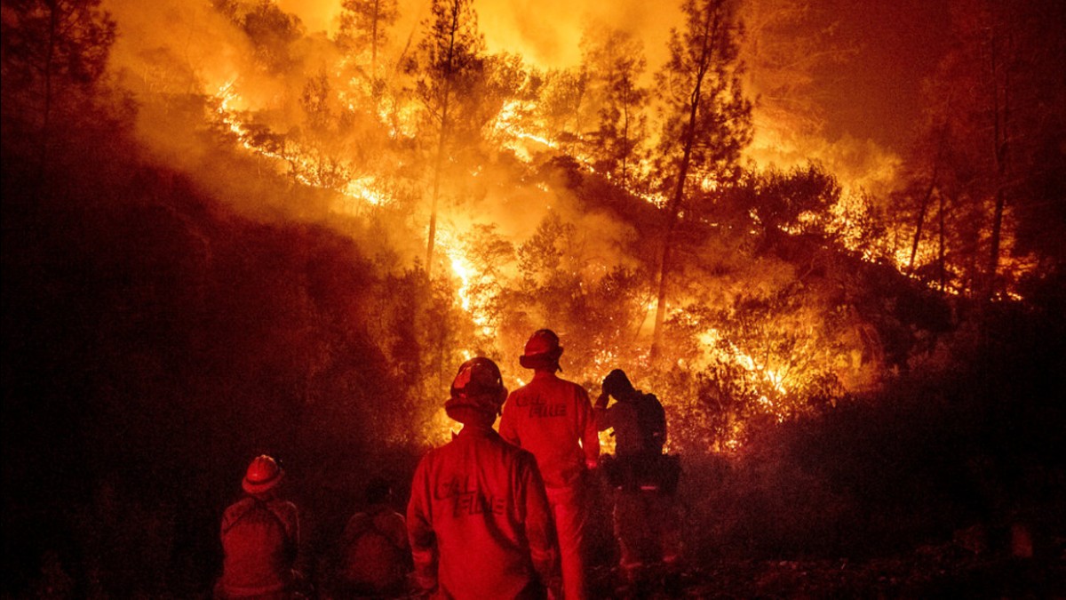 Árbol de secuoya continúa ardiendo tras los incendios forestales del año 2020 en California