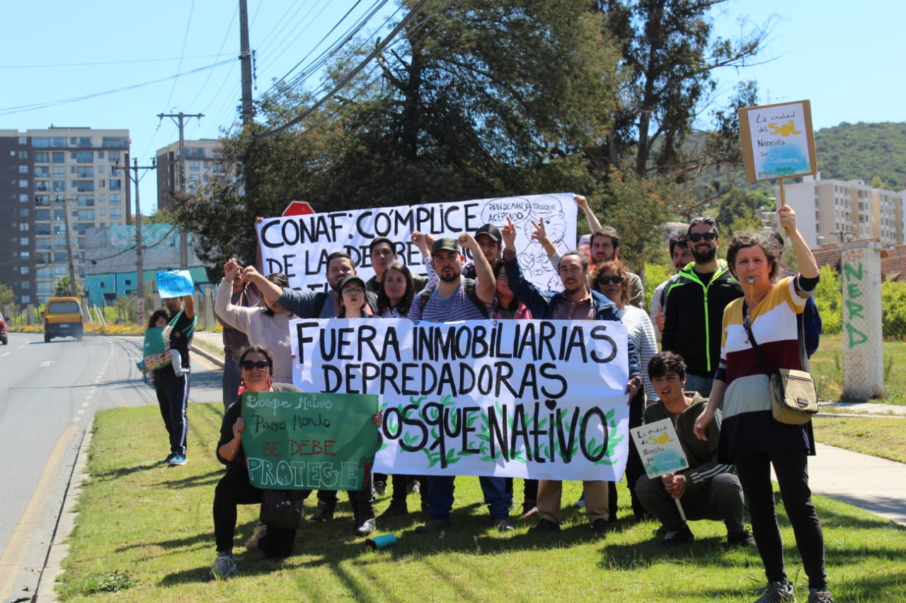 Vecinos de Quilpué protestan contra proyectos inmobiliarios que amenazan a bosque nativo
