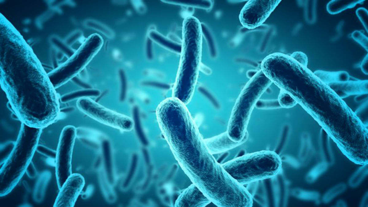 Una bacteria se hace resistente a los medicamentos más sofisticados en solo tres semanas