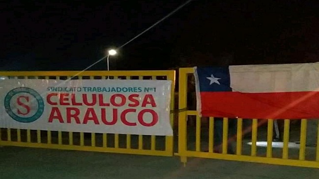 Sindicato de trabajadores de Celulosa Arauco se declara en huelga por mejores salarios