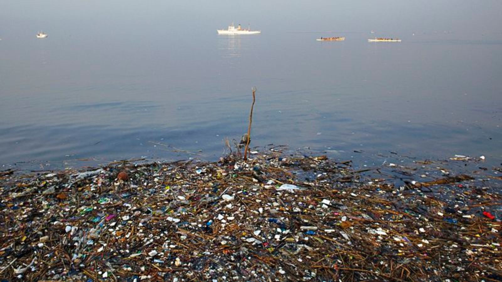 Sin ayuda de ningún gobierno: un joven limpia la «isla de basura» del Pacífico