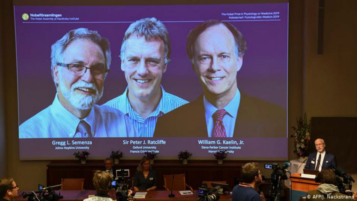 Tres científicos ganan Nobel de Medicina 2019 por estudios de respuesta celular al oxígeno