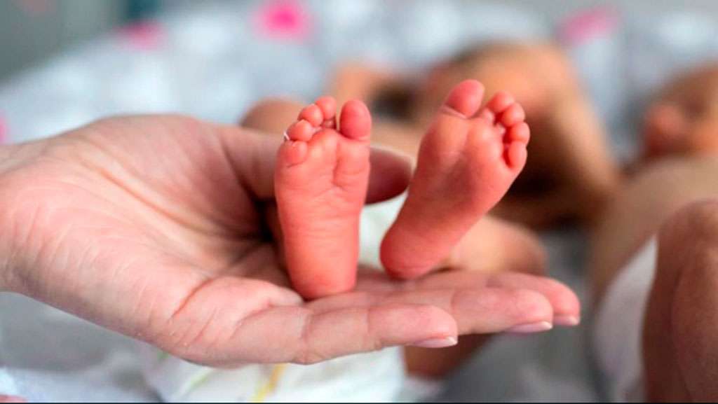 Desarrollan útero artificial que permitirá «renacer» a bebés prematuros