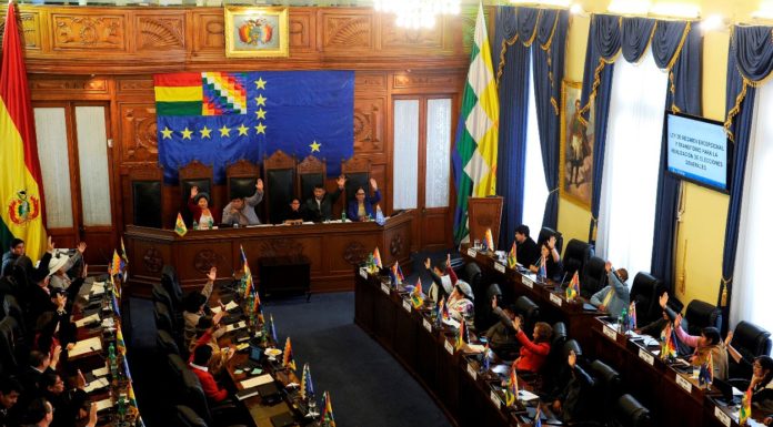 Senado de Bolivia aprobó ley para convocar nuevas elecciones presidenciales