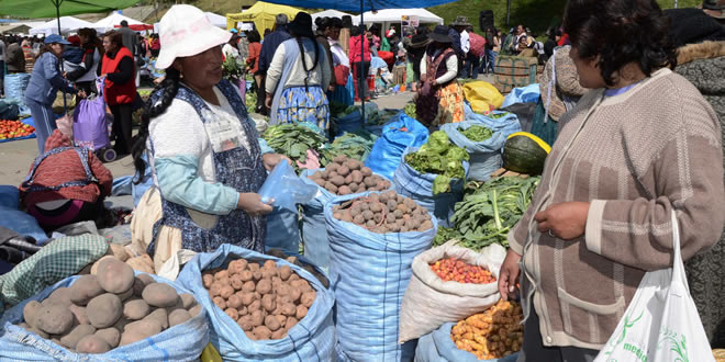 Bolivia extrema esfuerzos para garantizar abastecimiento de  alimentos