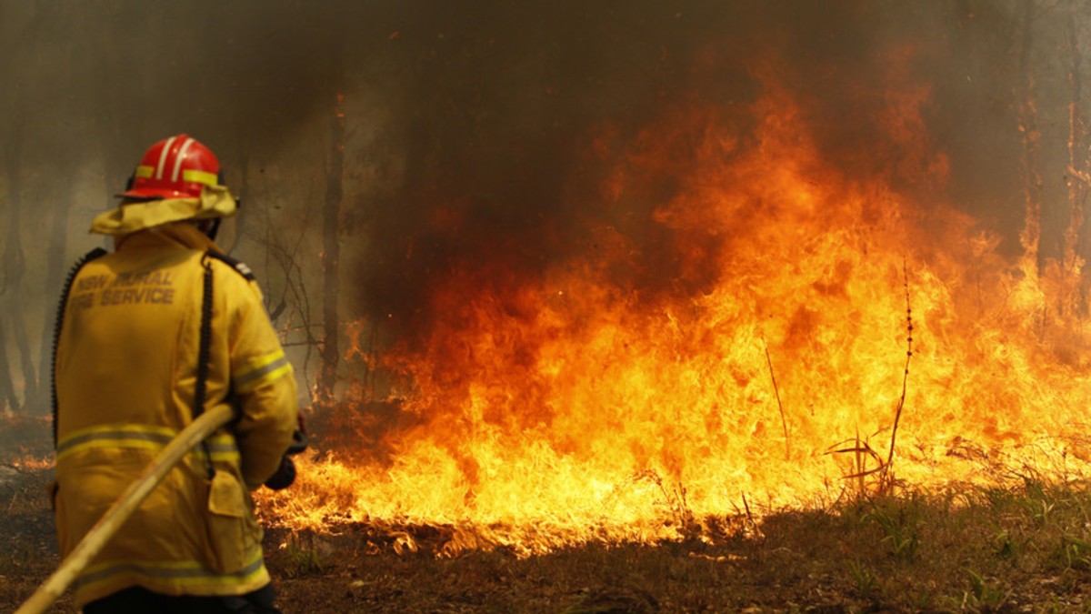 (Fotos) Continúa el estado de emergencia en Australia por graves incendios forestales
