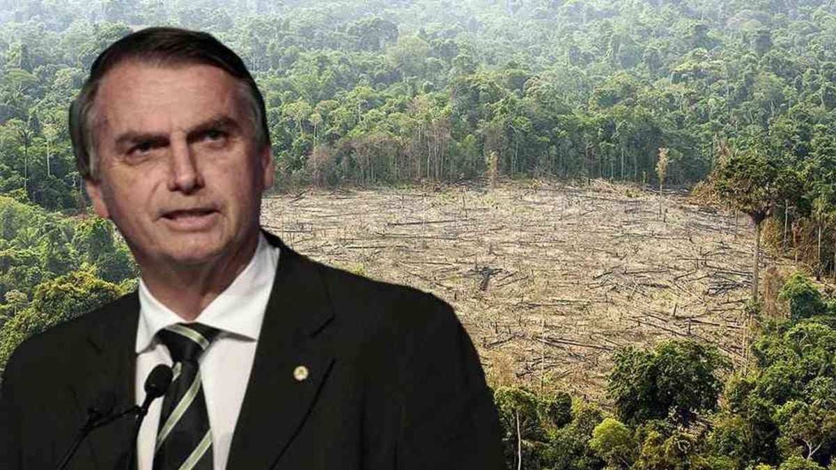 Bolsonaro: «No puedes acabar con la deforestación ni con los incendios, es cultural»