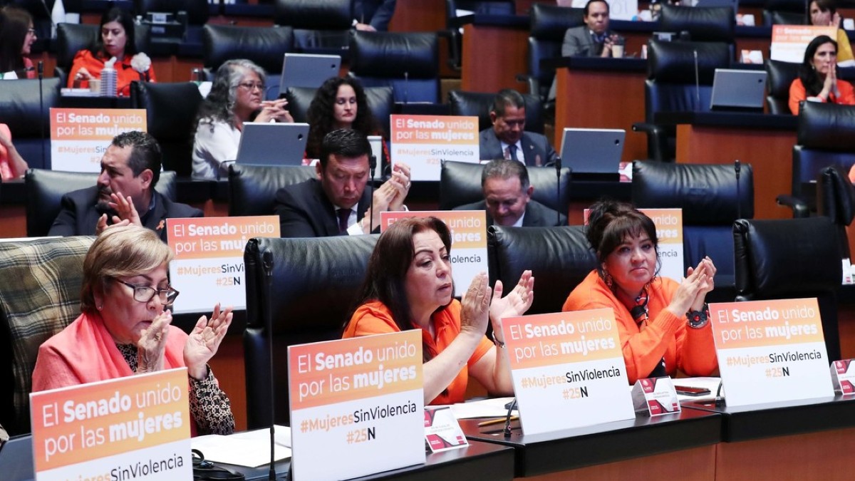 Senado mexicano solicita informe sobre uso de la fuerza durante control del flujo migratorio