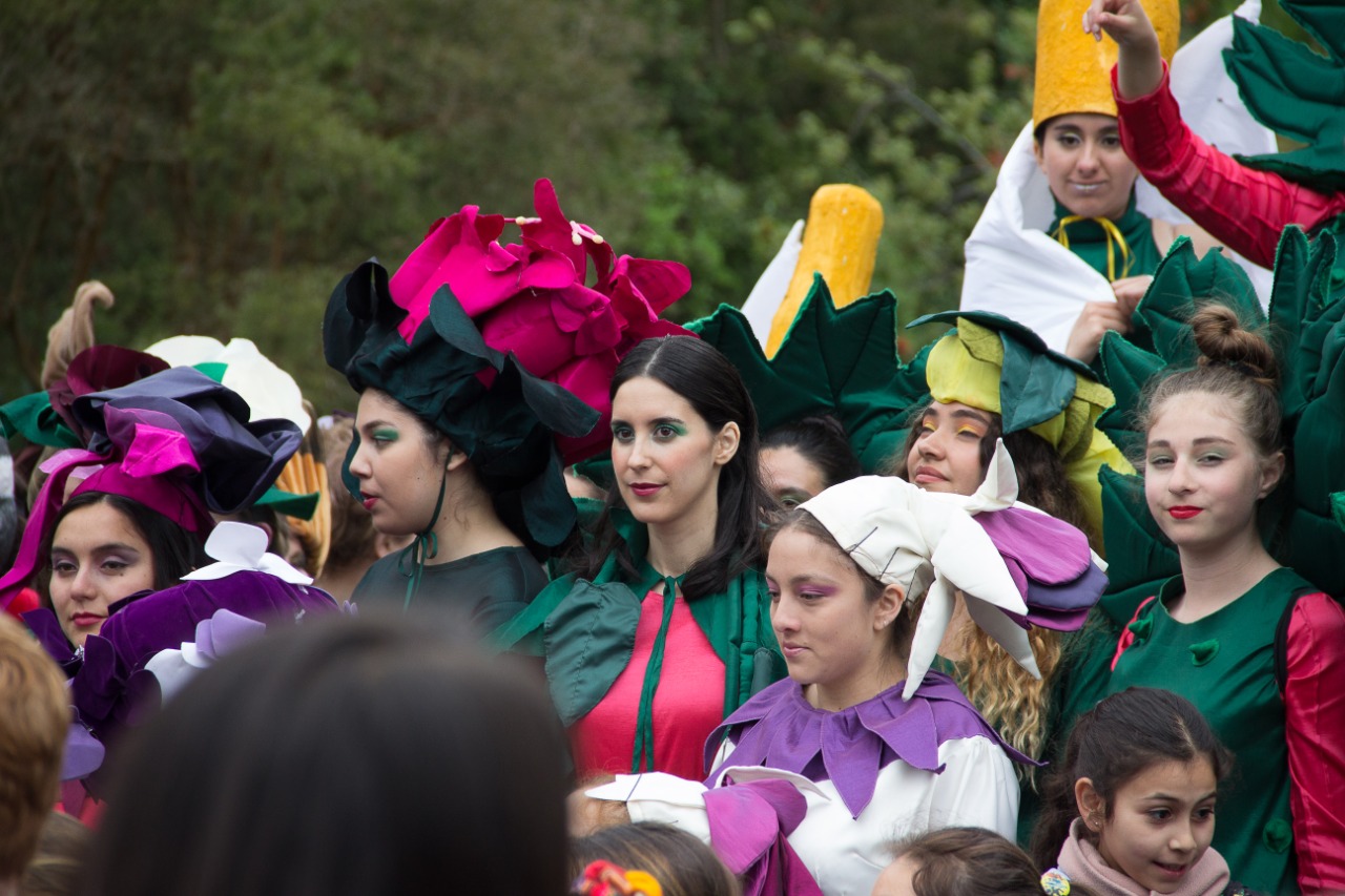 Éxito rotundo para la sexta versión de Carnaval del Sur