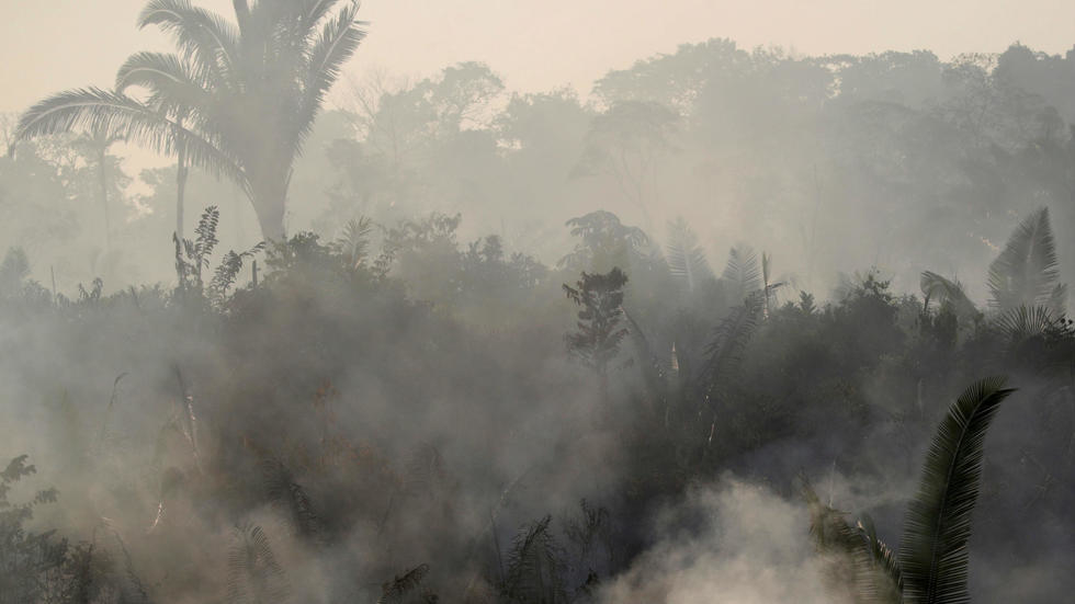 La actividad humana está acabando con la selva amazónica