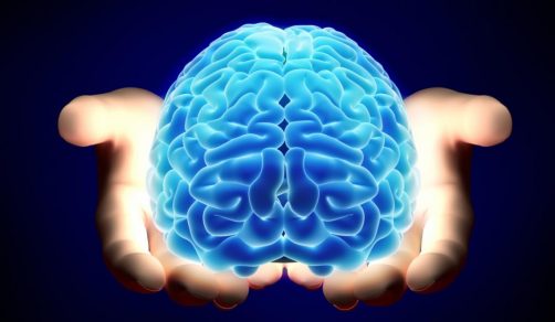 Ondas como tsunamis lavan el cerebro mientras dormimos