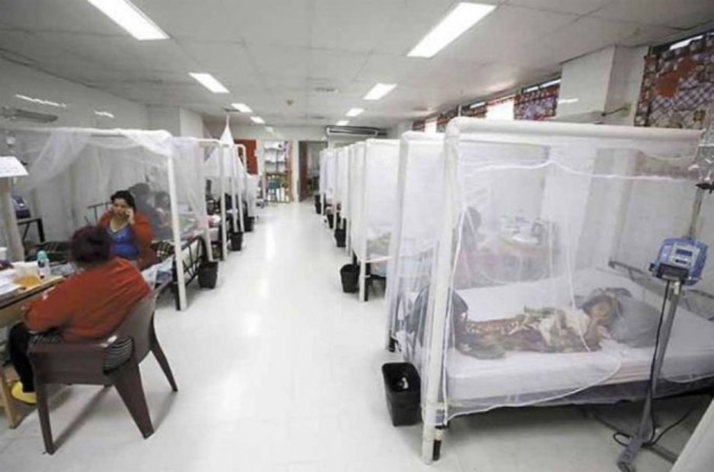 Registran más de 155 fallecidos por dengue hemorrágico en Honduras