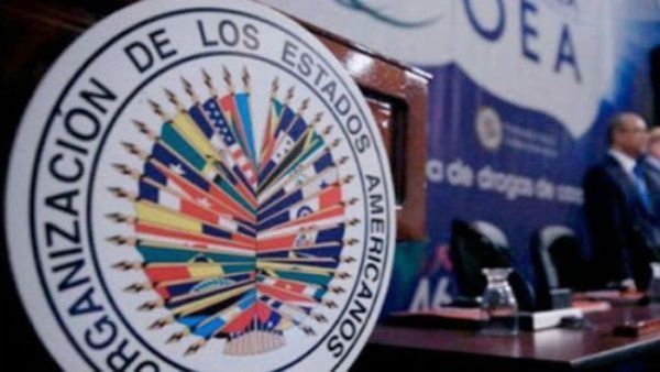 Este jueves la OEA difundirá «recomendaciones» a Bolivia para realizar nuevas elecciones